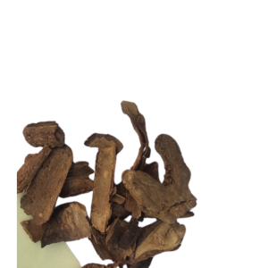 कचूर (Curcuma zedoaria